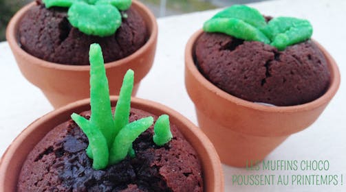 Recettes du printemps Recettes du printemps